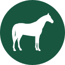 Submit Animal Mortality Claim